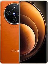 vivo X100 (vivo)